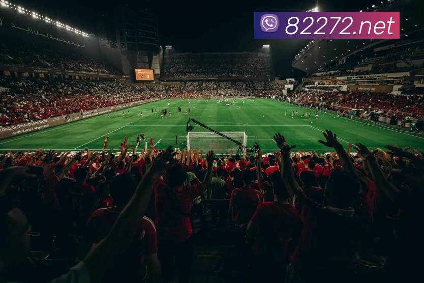 亿万28官网APP 封面图